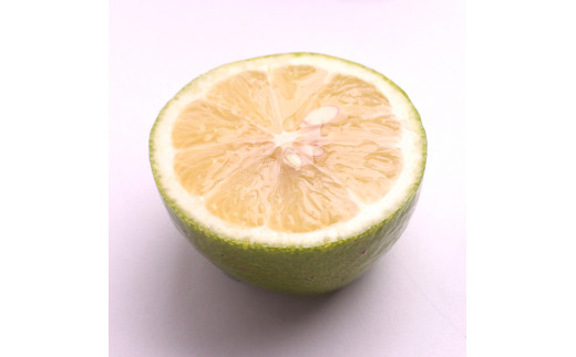 ＜先行予約＞家庭用　黒潮レモン 2.5kg+250g（傷み補償分）【和歌山有田産】【防腐剤・WAX不使用、安心の国産レモン】【わけあり・訳ありレモン】 ※2025年9月上旬頃～2026年4月下旬頃に順次発送【ikd034C】