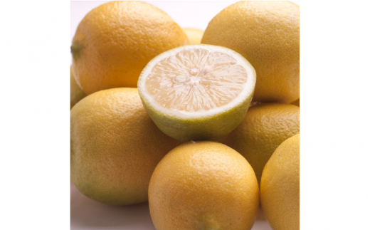 厳選 黒潮レモン1kg+250g（傷み補償分）【和歌山有田産】【防腐剤・WAX不使用、安心の国産レモン】 ※北海道・沖縄・離島への配送不可【ikd134B】