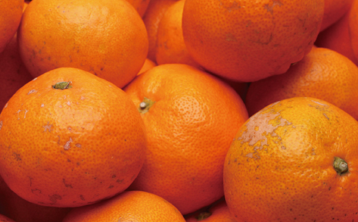 ＜11月より発送＞家庭用有田みかんサイズ混合(2S～2L)2.5kg+250g 11月より発送(完熟)【わけあり・訳あり】【光センサー選果】 訳ありみかん訳ありみかん訳ありみかん訳ありみかん訳ありみかん【ikd173B】