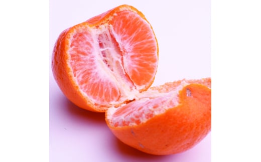 ＜1月より発送＞家庭用ポンカン1kg+250g（傷み補償分）【ikd191A】