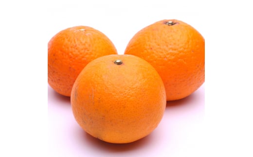 ＜2月より発送＞厳選 清見オレンジ1kg+250g（傷み補償分）【光センサー食頃出荷】【樹上完熟きよみオレンジ・清見タンゴール・清美】/ みかん 果物 フルーツ 和歌山 おすすめ くだもの 柑橘 オレンジ きよみオレンジ【ikd196B】 