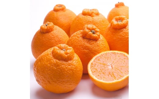 ＜2月より発送＞厳選不知火1kg+250g（傷み補償分）【デコポンと同品種・人気の春みかん】/ みかん ミカン 果物 フルーツ 和歌山 くだもの 【ikd207B】