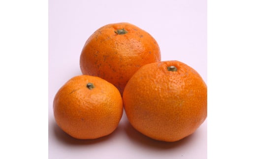 【先行予約】家庭用 有田みかん サイズ混合(2S～2L) 1kg+250g  ※11月より発送(完熟)【わけあり・訳あり】【光センサー選果】※北海道・沖縄・離島配送不可 / みかん ミカン 和歌山 柑橘 フルーツ 有田 有田みかん 【ikd210】