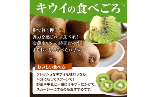 【先行予約】 先行予約！和歌山県産 秀品 キウイフルーツ 大玉15個入 こだわり農家厳選  【2026年12月中旬～2027年1月中旬頃に順次発送予定】/ キウイ キウイフルーツ 果物 フルーツ おやつ【kgr021】