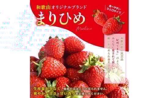 【先行予約】まりひめイチゴ4パック 食べやすいひと口サイズ M～L（15粒～20粒入×4パック）【2026年1月初旬～3月下旬頃に順次発送】（お届け日指定不可）/ いちご 苺 まりひめ 和歌山 フルーツ【kgr034】