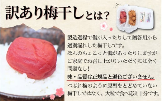 梅干し 紀州南高梅 大粒 食べ比べ はちみつ しそ 1㎏ 塩分約8% 無選別 ご家庭用 訳あり【khs122】