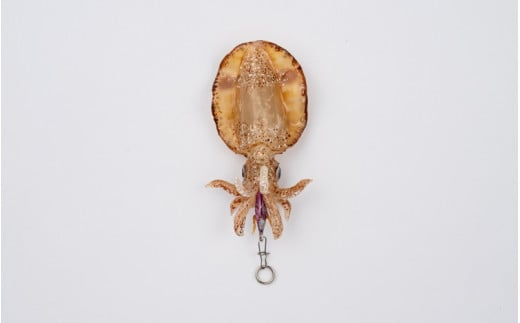 アオリイカ アクセサリー S  / オーダーメイド オーダー制作 キーホルダー ストラップ エギング 釣り 海 うみ ルームミラー 飾り アクセント インテリア おしゃれ かわいい お土産 雑貨 思い出 記念 プレゼント ギフト すさみ【mac003A】