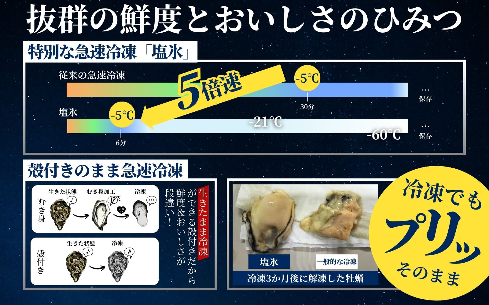 国産 急速冷凍牡蠣 加熱用 大サイズ 10個 / 牡蠣 殻付き 海鮮 かき カキ 冷凍 【mix007】