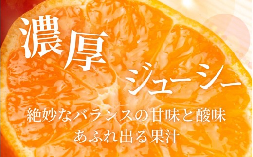 【2026年10月発送予約分】みかん 【家庭用】こだわりの有田みかん 約4kg＋250g(傷み補償分) ※サイズ混合※北海道・沖縄・離島配送不可 ＼光センサー選別／ 【農家直送】 有機質肥料100% みかん ミカン 有田みかん 温州みかん 柑橘 有田 和歌山 【nuk148-10】