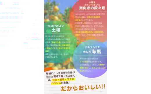 【2026年10月発送予約分】＼光センサー選別／ 【農家直送】【家庭用】こだわりの有田みかん 約5kg＋250g(傷み補償分) 先行予約 有機質肥料100% サイズ混合 【11月発送】【nuk160-10】 