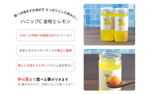 果実入り清涼飲料水 ハニップC2種類セット（30本）【prm001A】