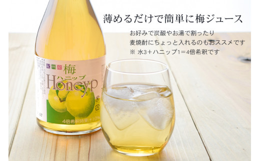 希釈用梅ドリンク 梅ハニップ 完熟梅ハニップ 各3本セット 【11月末より順次発送】【prm022A】