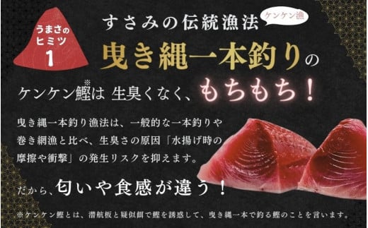 和歌山県すさみ産 初鰹！ ケンケン鰹のたたき 約500g～600g / 初鰹 かつお かつおのたたき 刺身 タタキ 天然 冷凍 真空 小分け 個包装 加工品 魚 和歌山県 鰹 鰹 すさみ町【scp001A】