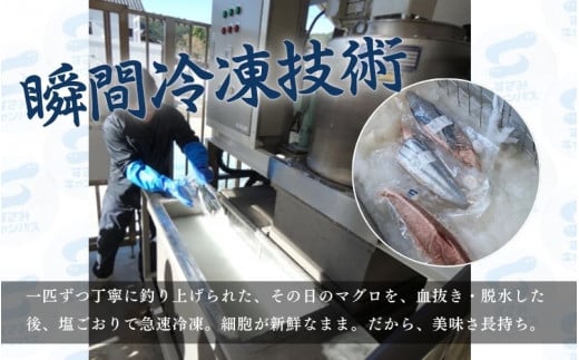 【訳あり】和歌山県すさみ産 天然生マグロ 冷凍 生 約200g×3個　マグロ 海鮮丼 鮪 寿司 海鮮 小分け 刺身 和歌山 すさみ町 キハダマグロ メバチマグロ 大容量【scp002B】