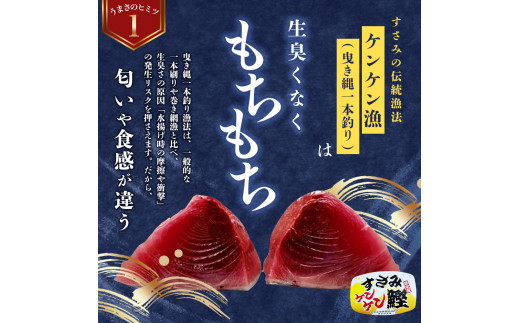 すさみケンケン鰹のたたき 約1kg / 鰹 かつおのたたき 刺身 天然 初ガツオ 初鰹 カツオのたたき 鰹 冷凍 真空 小分け 個包装 魚 和歌山県 鰹 鰹 すさみ町【scp012】