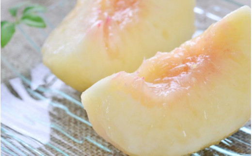 【産直・人気の特産品】和歌山の桃 約4kg 秀品 ※2026年6月下旬～2026年8月上旬頃順次発送 / もも モモ フルーツ 果物 くだもの 人気 甘い 和歌山 おすすめ 桃 【tec911B】