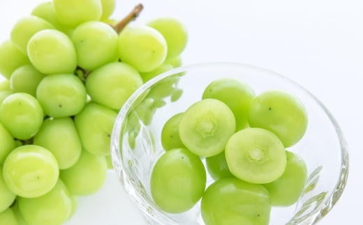 【先行予約】和歌山県産完熟シャインマスカット約1kg【2026年度発送分】 ※2026年9月上旬～2026年9下旬頃に順次発送 /  果物 くだもの フルーツ 葡萄 ぶどう ブドウ 和歌山【tecj1038】