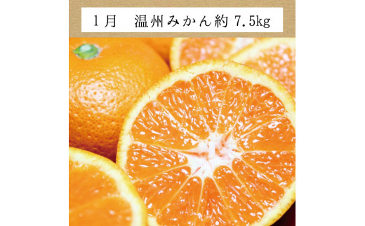 【3か月定期便】たっぷり届く♪訳ありみかんの定期便 / 訳あり 有田みかん 果物 フルーツ 柑橘 みかん ミカン くだもの 定期便 訳ありみかん 和歌山 オレンジ 有田ミカン 蜜柑 【tkb113】