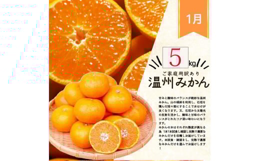 【全3回】紀州和歌山産旬のご家庭用柑橘セット(みかん・不知火・清見)【tkb411】