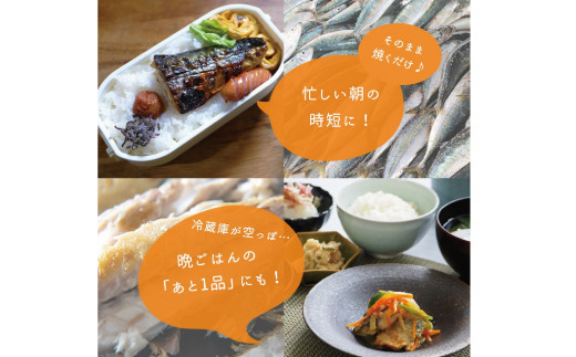 塩さばフィレ 24枚入(真空パック入)/さば サバ 鯖 フィレ 切り身 切身 魚 海鮮 焼き魚 おかず【uot742B-1】