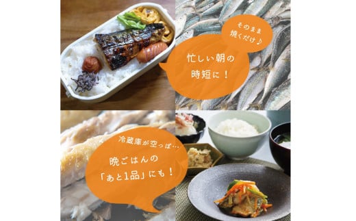 【ご家庭用】大容量！塩さばフィレ 1kg さば サバ 鯖 フィレ 切り身 切身 魚 海鮮 焼き魚 おかず 【uot763B】