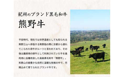 黒毛和牛「熊野牛」 A4以上 霜降り ロース スライス 400g【uot765】