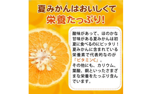 【先行予約】夏みかん 7.2kg　※2026年4月中旬頃〜2026年4月下旬頃順次発送（お届け日指定不可） / くだもの 果物 フルーツ 柑橘 有田みかん みかん オレンジ 和歌山【uot775】