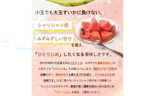 【先行予約】 紀州和歌山産 小玉スイカ「ひとりじめ」1玉 ※2026年6月上旬頃〜7月上旬頃に順次発送予定(お届け日指定不可) スイカ すいか 果物 くだもの フルーツ【uot778】