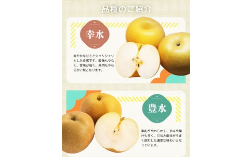 紀州和歌山産の梨 3玉 化粧箱入 ※2026年8月中旬頃〜2026年9月上旬頃に順次発送 ※日付指定不可 梨 なし ナシ 果物 くだもの フルーツ 甘い【uot787】