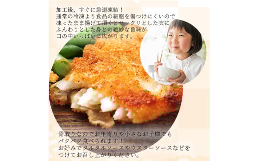 骨取り味付けさばフライ10切（カレー風味味） / さば サバ 鯖 魚 海鮮 フライ 揚げ物 おかず【uot840B】