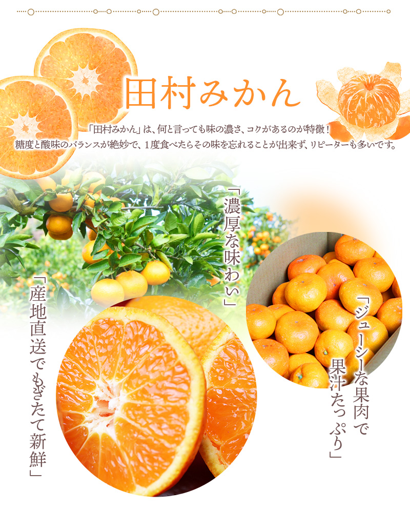 【先行予約】高級ブランド 秀品 紀州有田田村産みかん 3kg ※2025年12月頃〜2026年1月下旬頃に順次発送予定 / みかん ミカン 蜜柑 温州みかん 柑橘 フルーツ 果物 【uot848】