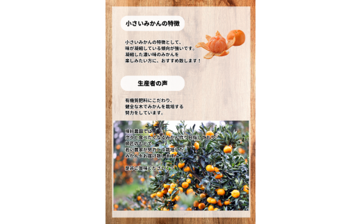  温州みかん 「小粒っこ」 10kg※箱込み (極早生・早生・中生・晩稲)【2S～3Sサイズおまかせ】【2025年10月中旬～2026年1月下旬までに順次発送】＜味好農園＞/温州 みかん 小玉 蜜柑 柑橘 みかん 極早生 早生 中生 晩稲 小粒 果物 フルーツ 【agy006A】 