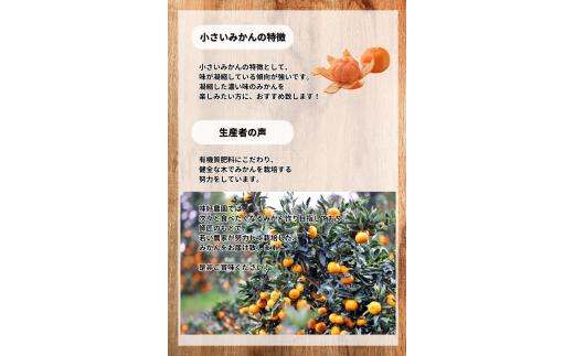  お試しにピッタリ！ 温州みかん 「小粒っこ」 2kg※箱込み ※秀優混合 【2S～3Sサイズおまかせ】【2025年10月中旬～2026年1月下旬までに順次発送】(極早生・早生・中生・晩稲)＜味好農園＞/ 温州 みかん 小玉 蜜柑 柑橘 みかん 極早生 早生 中生 晩稲 小粒 果物 フルーツ 【agy025A】 