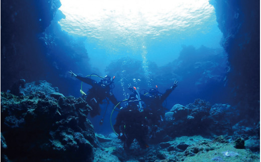 ダイビングを始めてみよう！オープンウォーターダイバーコース（Cカード取得コース）※年中受付可能 / うみ 海 ウミ 和歌山 ダイビング体験 ダイビング 体験【air100A】