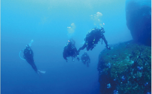 体験ダイビングコース（1名樣） ※5月～10月までの開催 / ダイビング ダイビング体験 体験 和歌山 うみ ウミ 海 【air101A】