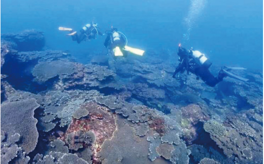 体験ダイビングコース【親子プラン】※5月～10月までの開催 / ダイビング体験 ダイビング 体験 うみ 海 ウミ【air102A】