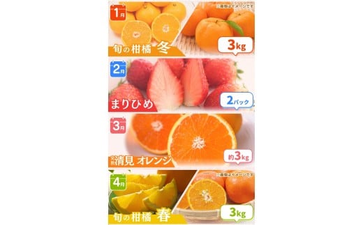 【全12回定期便】 わかやま旬のくだもの定期便 【Ｓ】 （配送日時指定不可）  / 定期便 フルーツ みかん いちご イチゴ 清見オレンジ セミノール 河内晩柑 カラマンダリン すいか 桃 ジュース みかん 柿 完熟みかん【ard-tkb901A】