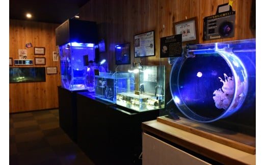 ＼バックヤードツアー付き／　エビとカニの水族館　10名様チケット【ebk104】