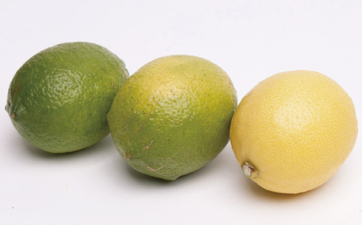 ＜先行予約＞家庭用　黒潮レモン 2.5kg+250g（傷み補償分）【和歌山有田産】【防腐剤・WAX不使用、安心の国産レモン】【わけあり・訳ありレモン】 ※2025年9月上旬頃～2026年4月下旬頃に順次発送【ikd034C】