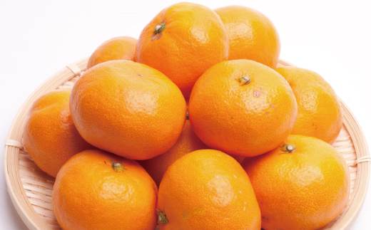 プレミアム有田みかん5kg+250g（傷み補償分）11月より発送(完熟)【光センサー選果】＜11月上旬より順次発送予定＞ / みかん ミカン 果物 フルーツ くだもの 和歌山 有田みかん 【ikd114C】