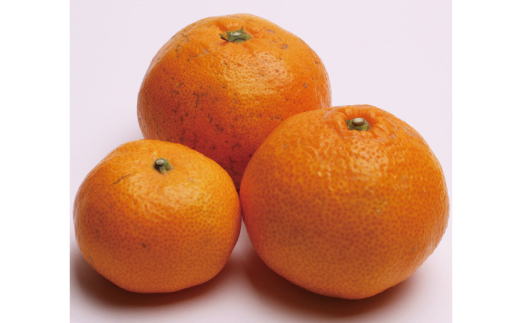 家庭用有田みかんサイズ混合(2S～2L)7.5kg+250g 11月より発送(完熟)【わけあり・訳あり】【光センサー選果】＜11月上旬より順次発送予定＞ みかん ミカン 蜜柑 フルーツ 果物 柑橘【ikd116D】