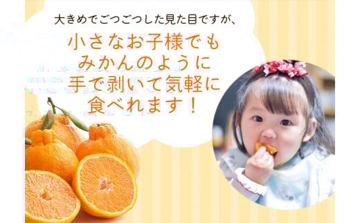 【先行予約】 不知火 【デコポンと同品種・人気の春みかん】 家庭用 1kg+250g（傷み補償分）【わけあり・訳あり】＜2月より発送＞ ※北海道・沖縄・離島への配送不可 不知火 デコポン 柑橘 【ikd161C】