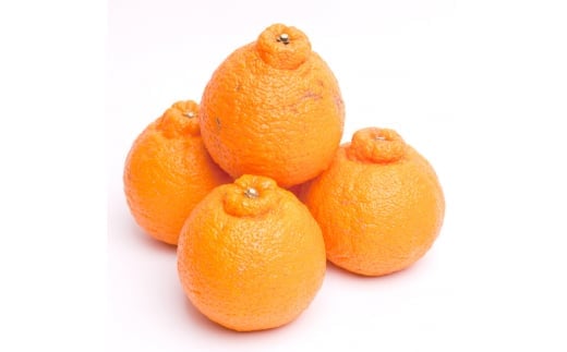 ＜2月より発送＞厳選不知火1kg+250g（傷み補償分）【デコポンと同品種・人気の春みかん】/ みかん ミカン 果物 フルーツ 和歌山 くだもの 【ikd207B】