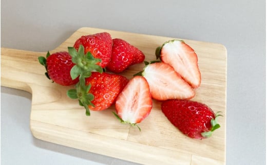 【先行予約】まりひめ いちご 12粒～15粒入り×2パック（500g）2026年1月中旬～2026年3月中旬頃に順次発送予定（お届け日指定不可）/ いちご 苺 まりひめ 和歌山 フルーツ 果物 くだもの【kgr007A】