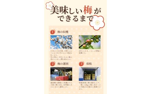 梅干し 紀州南高梅 はちみつ 200g 塩分約7% 【khs123】