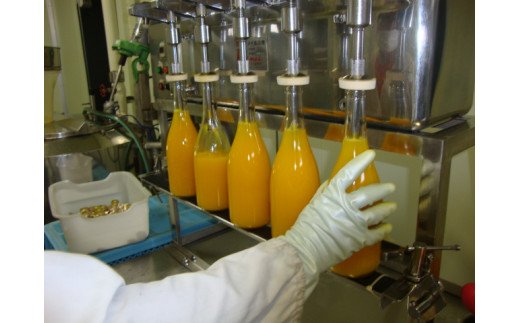 有田みかんの味皇（あじおう）180ml×12本【kjk101】