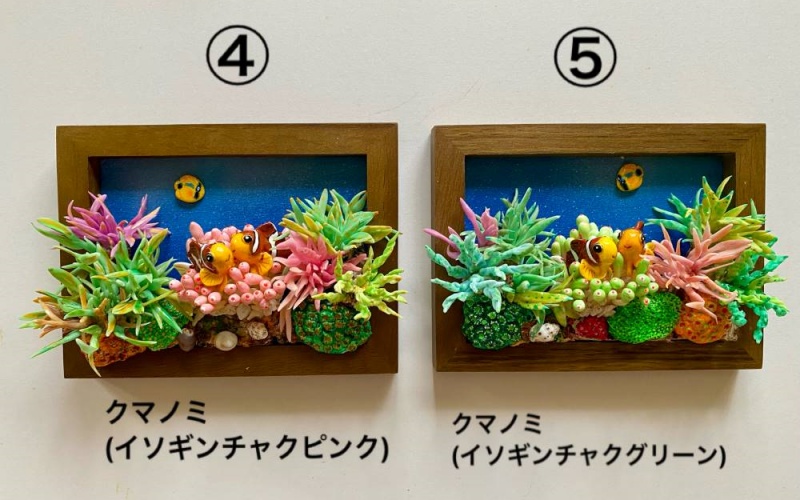 クマノミ各種　フレーム  /  魚 さかな フィッシュ 釣り 海 うみ クマノミ 海水魚 海の生き物 鍵 かぎ 家 車 自転車 かわいい お土産 雑貨 思い出 プレゼント ギフト すさみ 【mac007A】