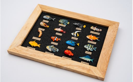 トロピカルフィッシュ16種　レリーフ  /  魚 さかな フィッシュ 釣り 海 うみ クマノミ 海水魚 海の生き物 鍵 かぎ 家 車 自転車 かわいい お土産 雑貨 思い出 プレゼント ギフト すさみ 【mac008A】