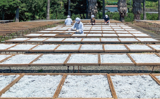 釜揚げしらすとみかんのぽん酢セット【mef003-1A】