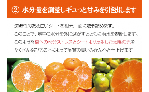 【農家直送】果汁たっぷり！清見オレンジ 約5kg  有機質肥料100%　 サイズ混合　※2026年3月上旬より順次発送予定（お届け日指定不可）【nuk112B】